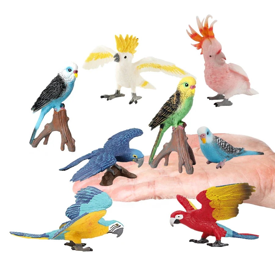 Simulation Parrot Parakeet Macaw Figures Miniature Wild Animal Figurines Artificial Bird Action Figure Educational Toy Kids Gift