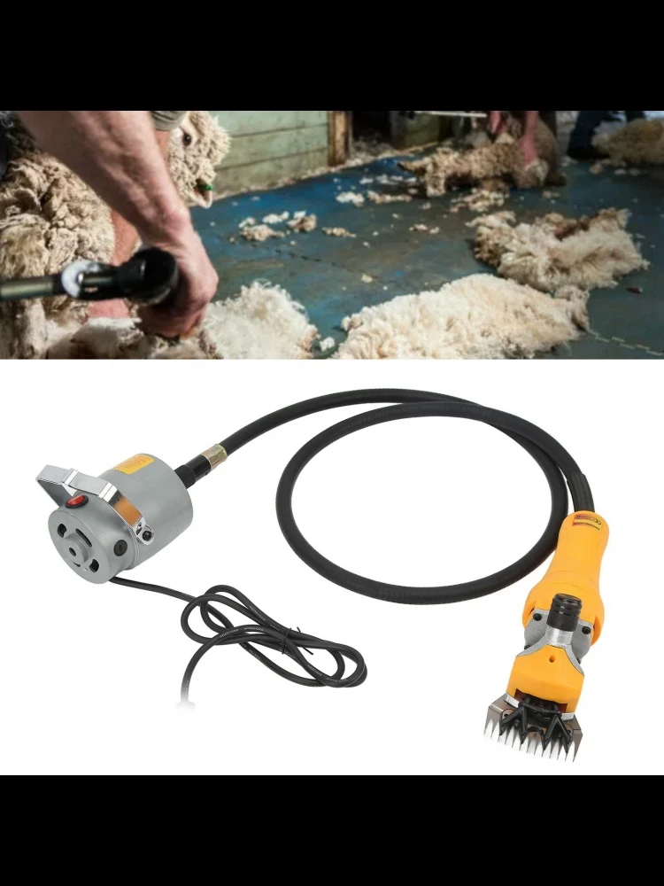 Tondeuse électrique professionnelle pour moutons, 1000W, Kit de toilettage pour bétail, 13 dents, 28000 tr/min