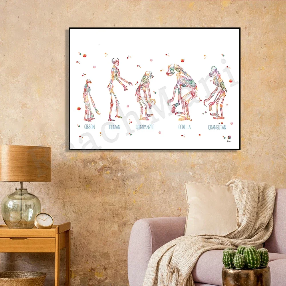 Ape Skull Watercolor Print, Great Ape and Little Ape Poster, Gibbon Human Chimpanzee Gorilla Anatomy Print, Science Art Poster