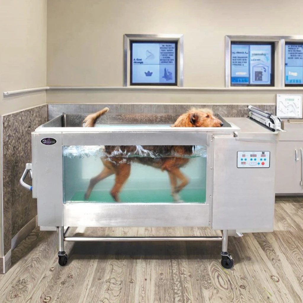 Bigeer Modern Freestanding Pet Underwater Treadmill Rectangular Stainless Steel for Apartment or Soaking Villa Use