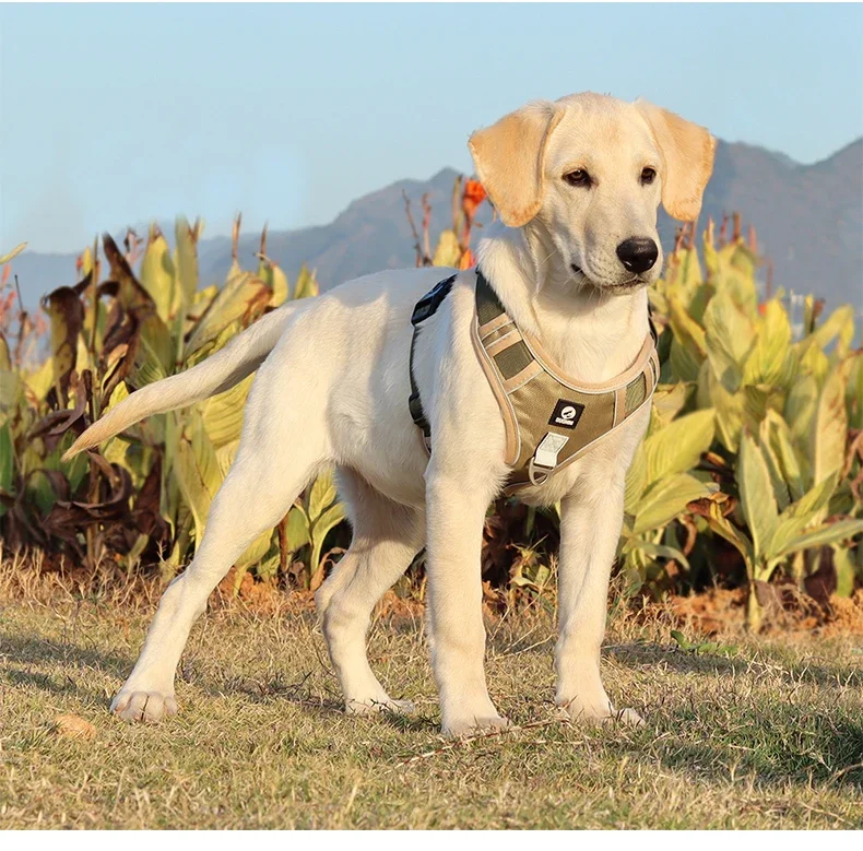 Taktisches Anti-Zieh-Hundegeschirr, Reflektierend, Robustes Oxford-Gewebe, Wasserdicht, für Mittelgroße und Große Rassen, Outdoor-Spaziergang, Haustier-Weste – Detail 5