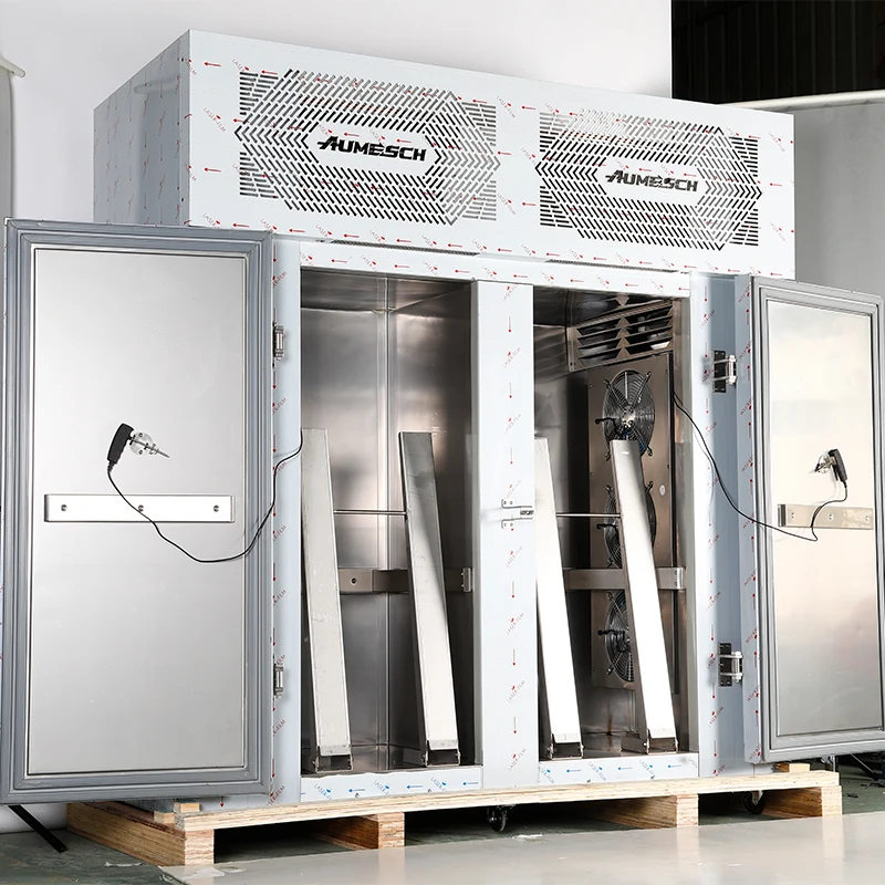 Super General Deep Freezer 1230L Rapid Freezing Cryogenic Blast Chiller Room Commercial Large Storage Durable Grade Cold Storage