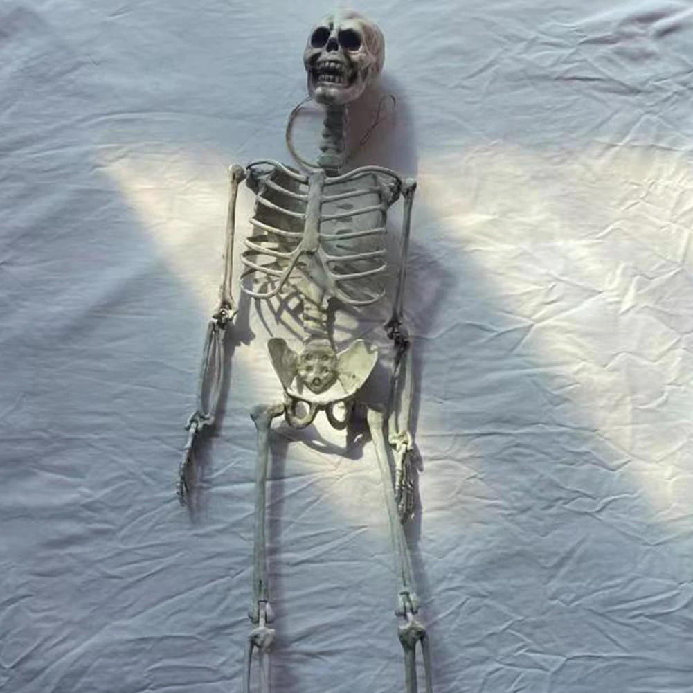 90cm/170cm Halloween Human Shape Skeleton,Posable Skeleton Human Shape Bones Halloween Herror Decor Haunted House Horror Props