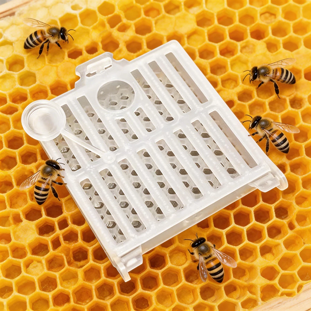 5 Pcs Queen Bee Cage Plastic Queen Escape Prevention Control Box Queen cage for Beekeeping Mailing Bees Transport Post Cage