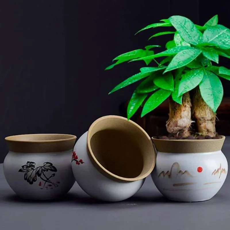 Creative Desktop Asparagus Fern Plant Pot Handpainted Flowerpot Bonsai Vase Gardening Planter Home Decor