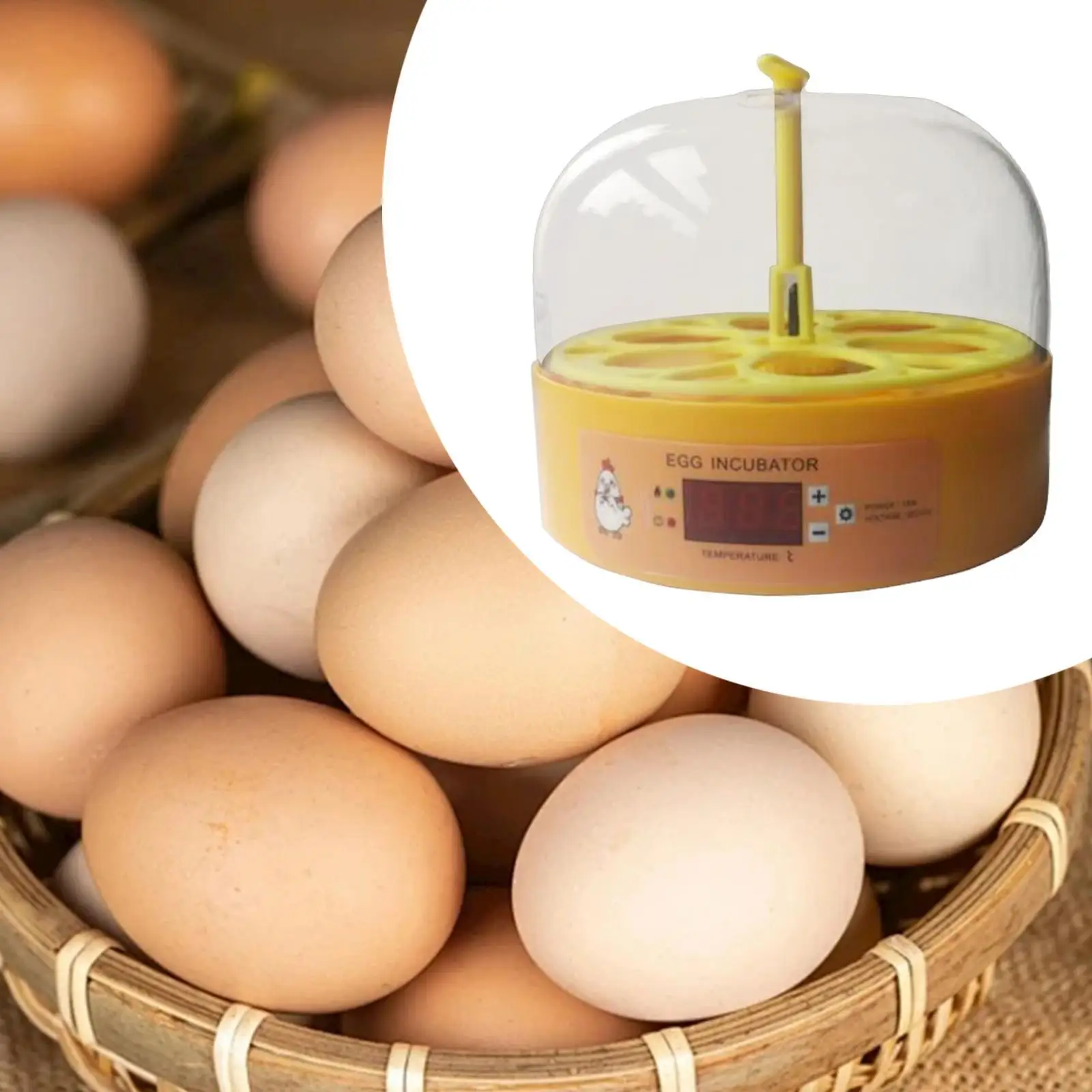 Inkubator do jaj Wtyczka EU Niezawodny mini inkubator do użytku domowego Jaja kurze