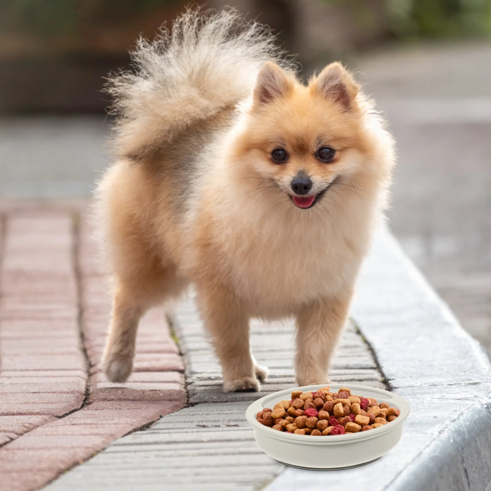 

Silicone Pet Bowl Dog Cat Food Water Container Slow Feeder Anti- Large Capacity Easy Clean Dog Bowl Pet Food Container