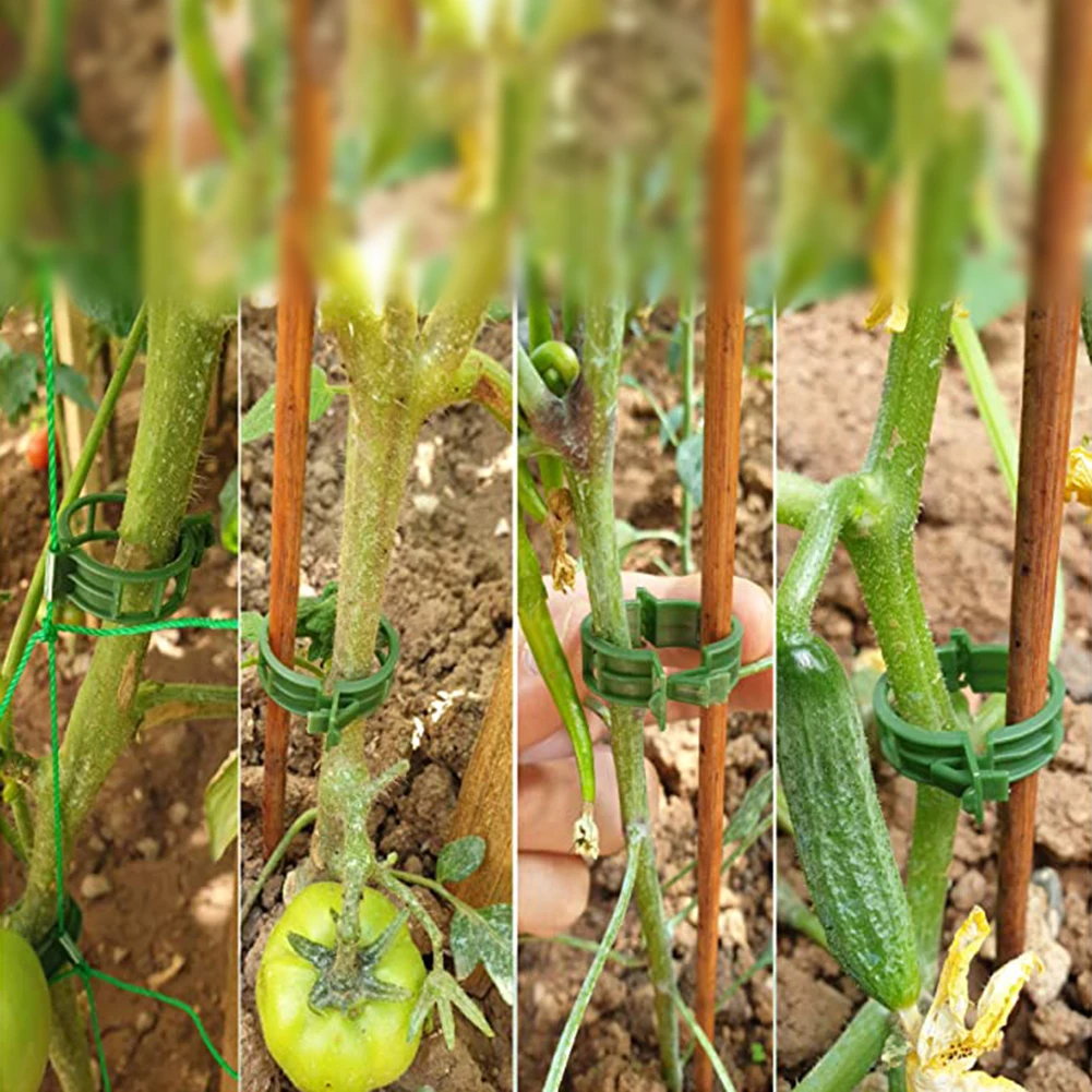 100pcs Garden Plant Support Clips Ties Trellis Stake Veggie Tomato Greenhouse Plant Stand Tool Bundled Buckle Ring Holder
