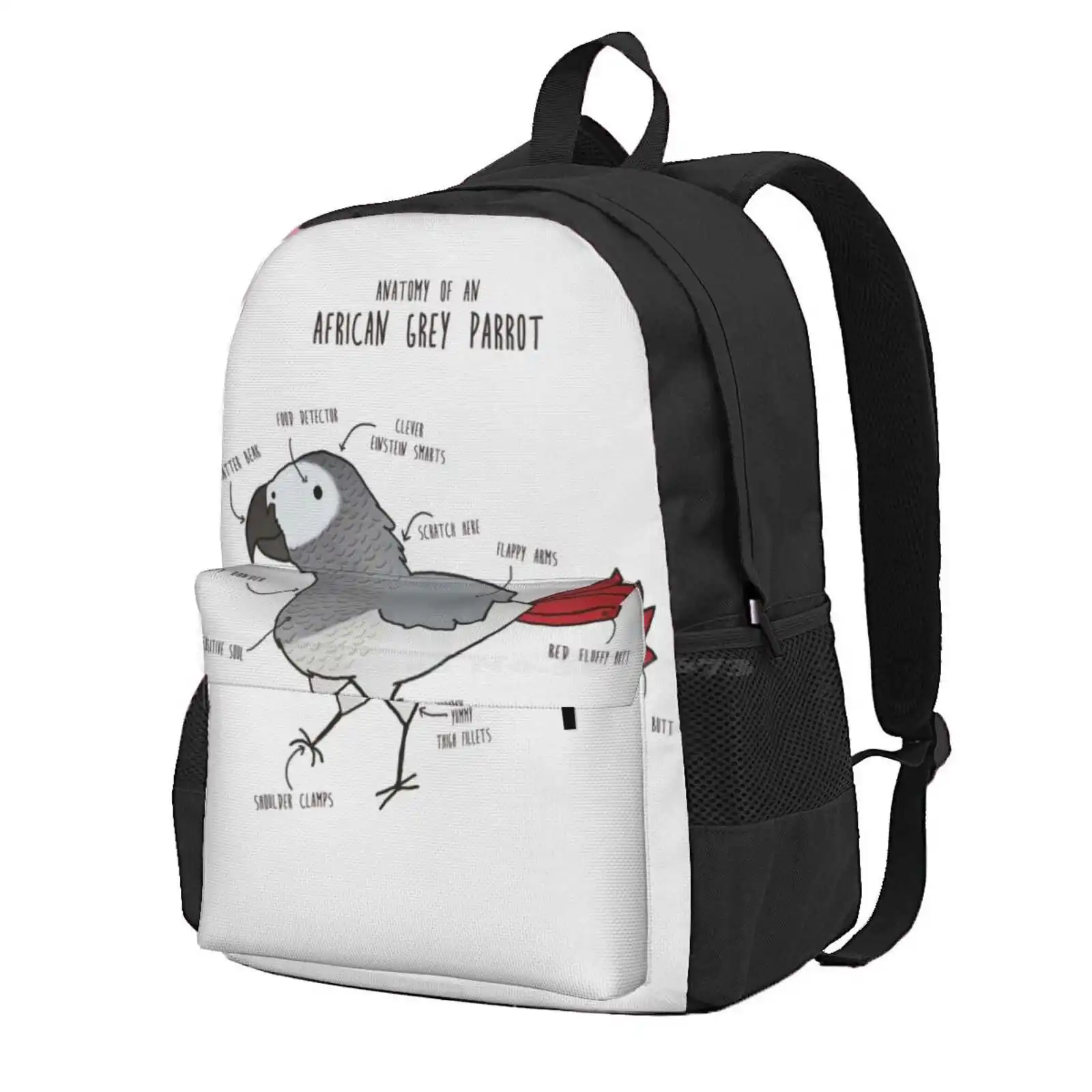 

Anatomy Of An African Grey Parrot Hot Sale Schoolbag Backpack Fashion Bags African Grey Parrot African Gray Parrot Bird Pet