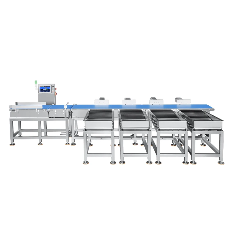 Automatic Weight Sorting Machine with Pusher Rejection for Orange Grapefruit and Watermelon Weight Inspection