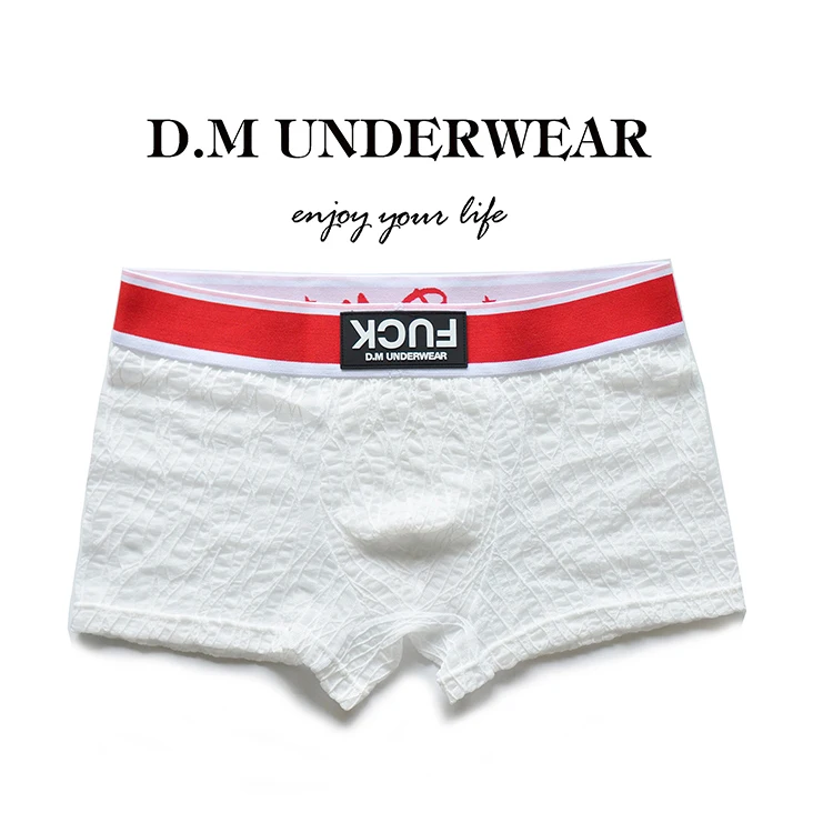 Men\'s Underwear Letter Print Mesh Lace Personality Under Pants Breathable Youth Panties