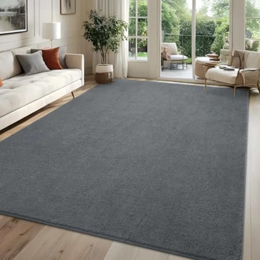 

6x9 Feet Area Rug for Living Room and Bedroom, Dark Grey Modern Low Pile Washable Memory Foam Indoor Carpet, Non Slip Rectangle