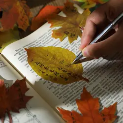 Markers Flags Fallen Leaves Note Paper Post Memos Message Paper Foliage Writing Notepad Writing Aesthetic Index Bookmark