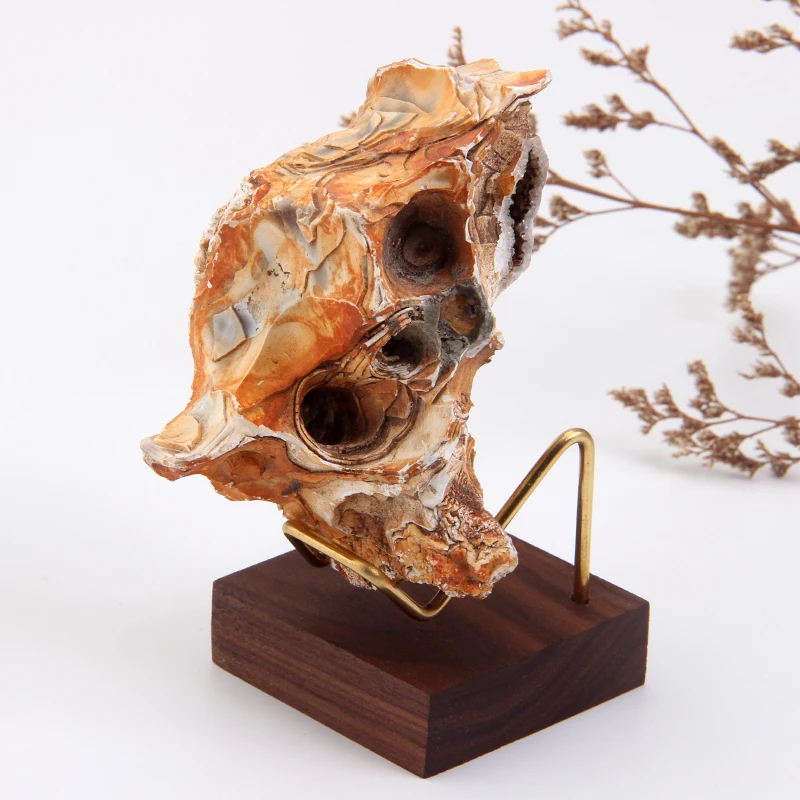 5*5 New style wooden crystal displays stone base glass ball holder sphere stand