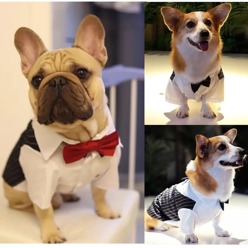 Dog Tuxedo Dog Suit Puppy Pet Tuxedo Wedding Party Costume Dog Prince Bow Tie Shirt Formal Dog Weeding Attire Dogs Cats Clothes