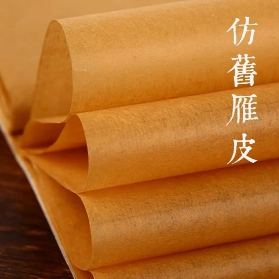 

Cicada wings Ancient Method Bamboo pulp Leather Paper Goose Skin Handmade rice paper