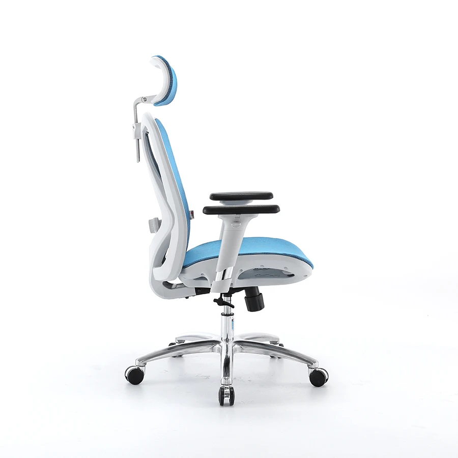 Sihoo M57 New Modern High Back Executive Chair Best Ergonomic Mesh Office Chair With Headrest