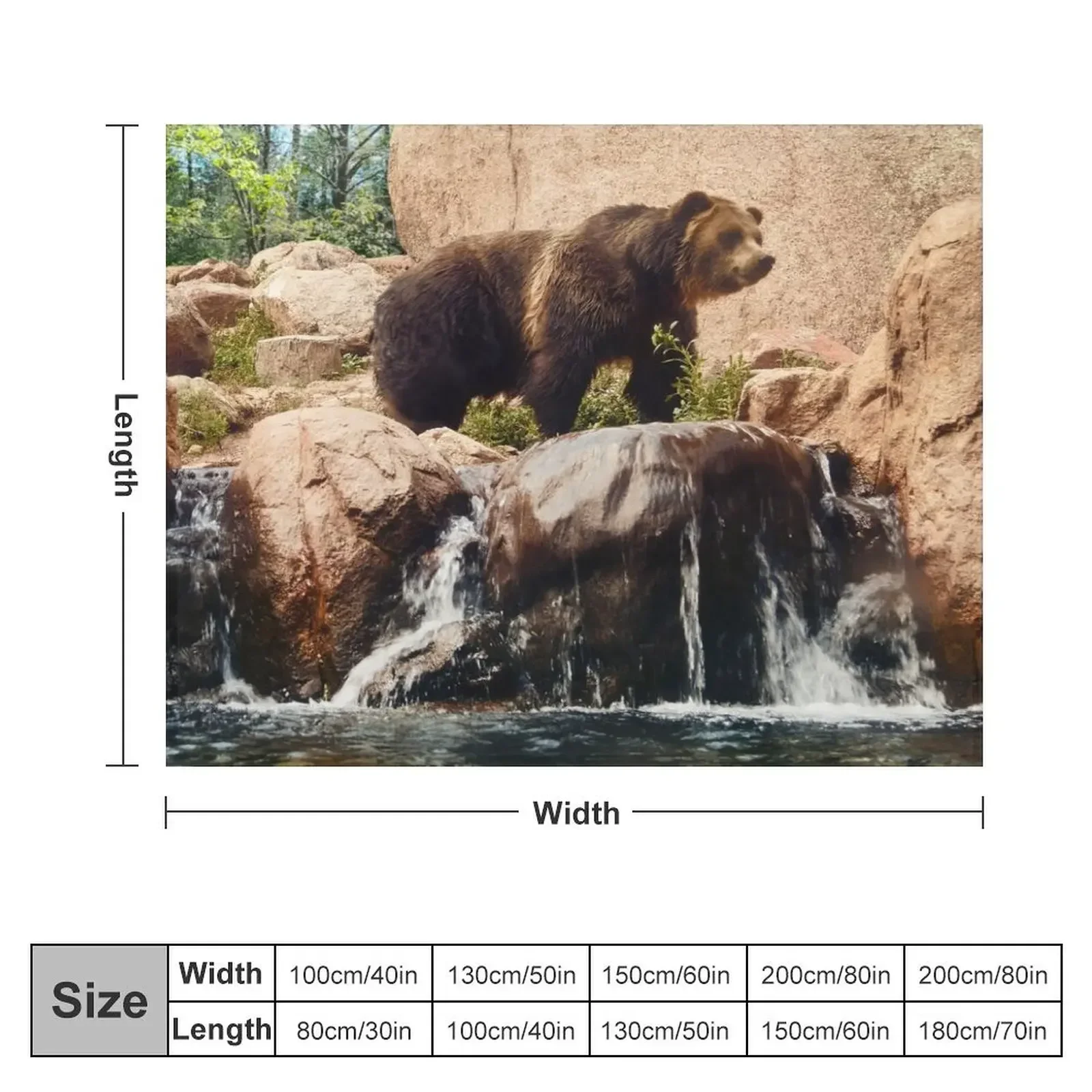 American Grizzly Bear Throw Blanket Decorative Beds warm for winter Summer Extra Large Throw Blankets