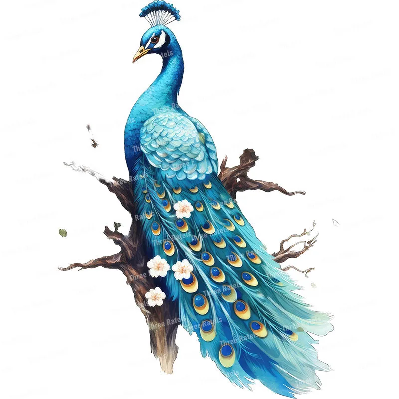 Three Ratels QN14 Beautiful Peacock Colorful Home Decoration Art Wall Decal Waterproof Bathroom Kitchen Tile Decal