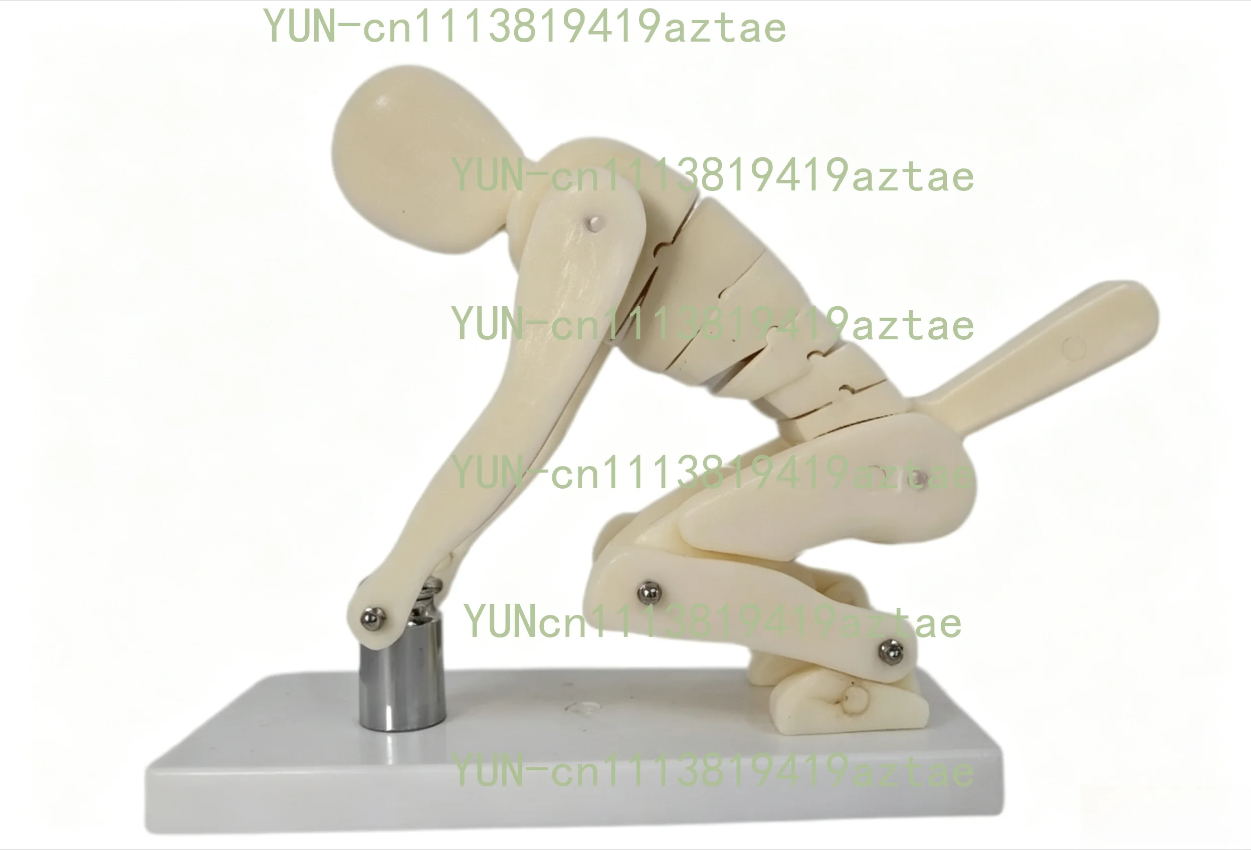 Human weightlifting simulation model Bend over and squat with heavy objects Operation demonstration Waist health care Fitness