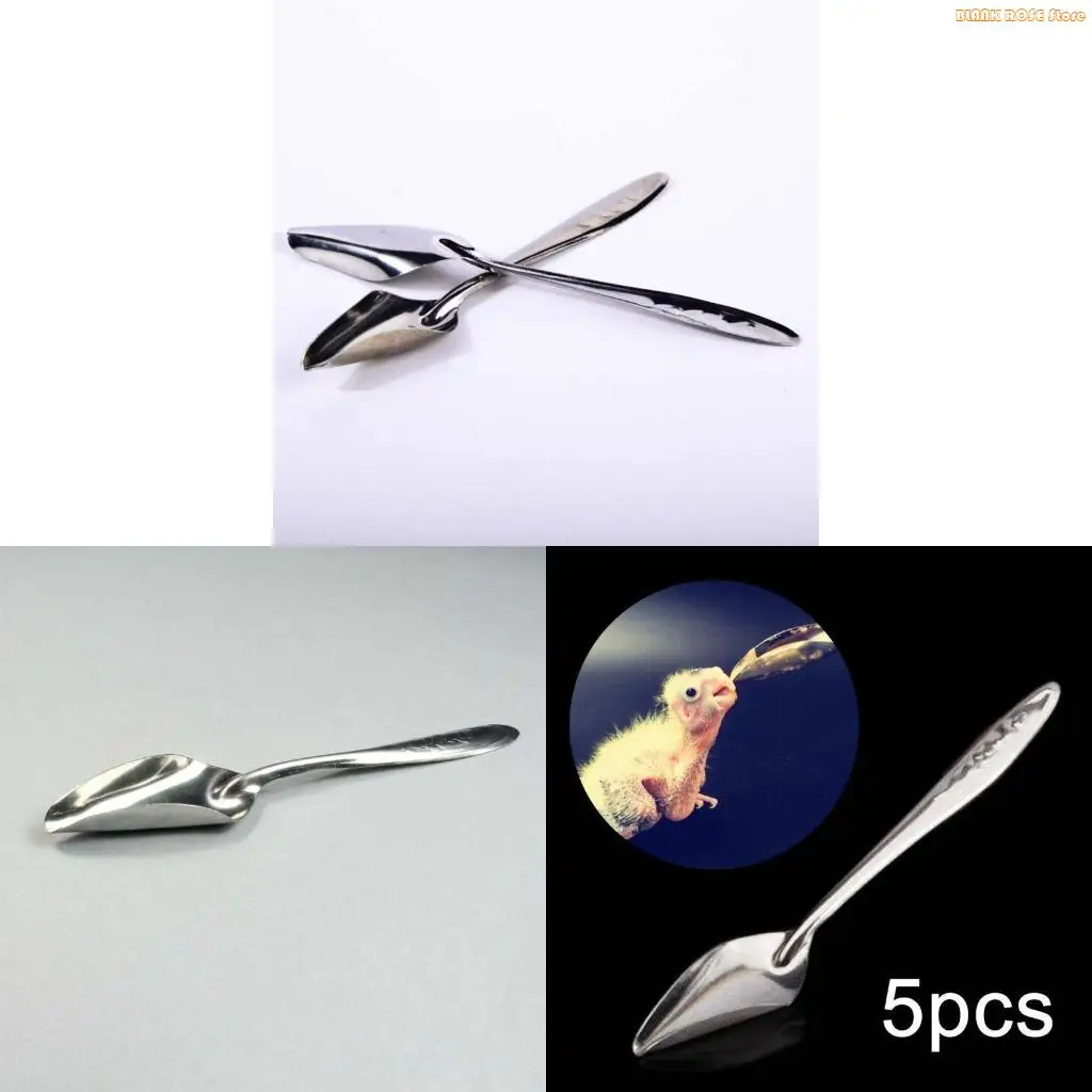 K1AE 5 Pack Parrot Feeding Spoon Stainless Steel Feed Water Milk Feed Spoons