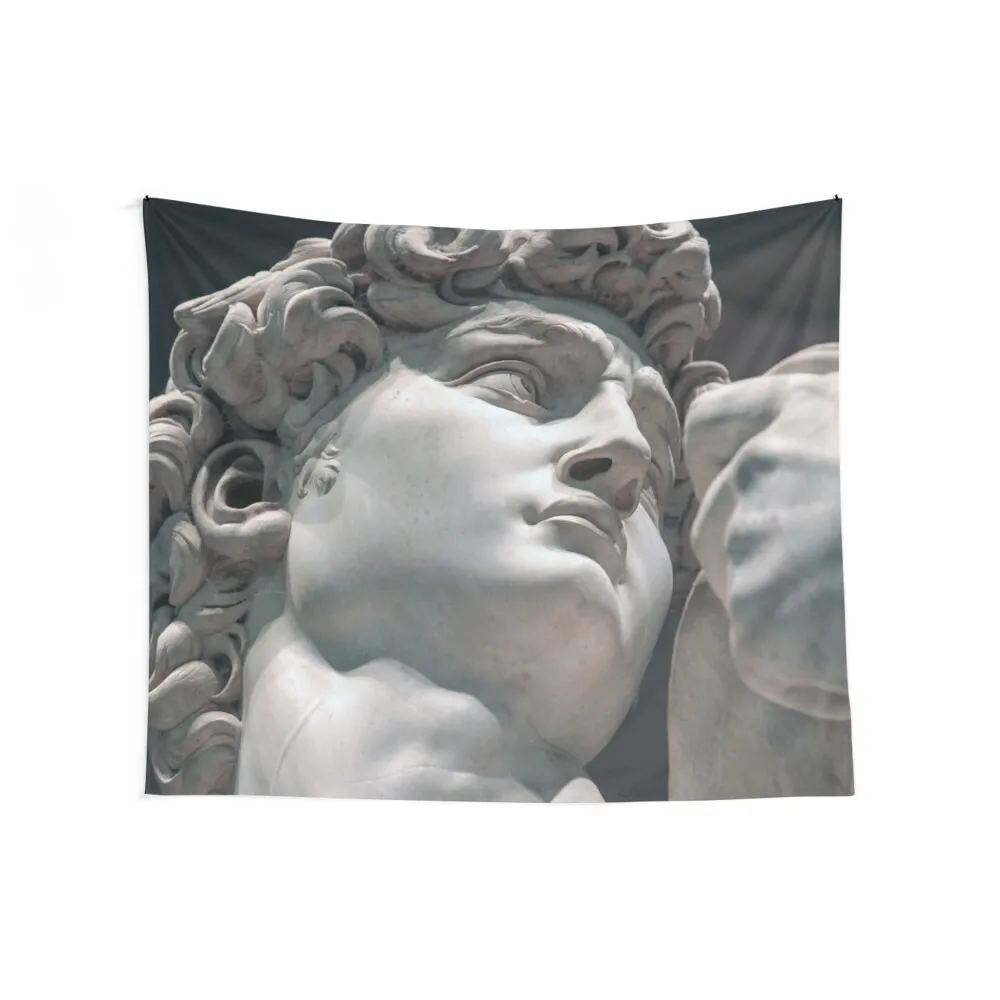 Michelangelo David (head)(2), 1501-1504 Tapestry Home Decoration Accessories Home Decorating Tapestry