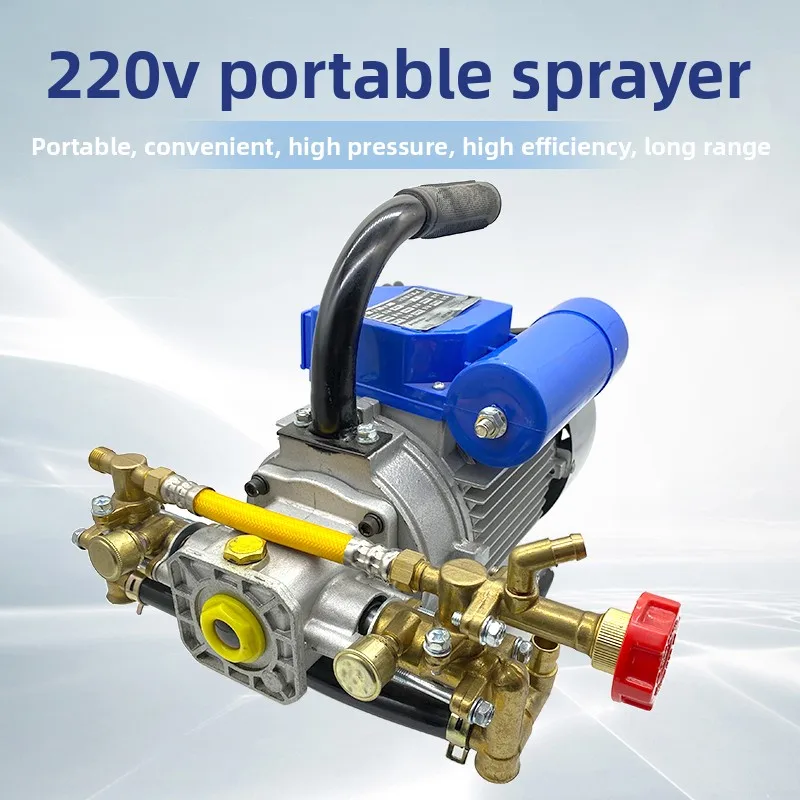 220V Electric Agricultural Sprayer High Pressure Double Cylinder Piston Pump Garden Sprayer