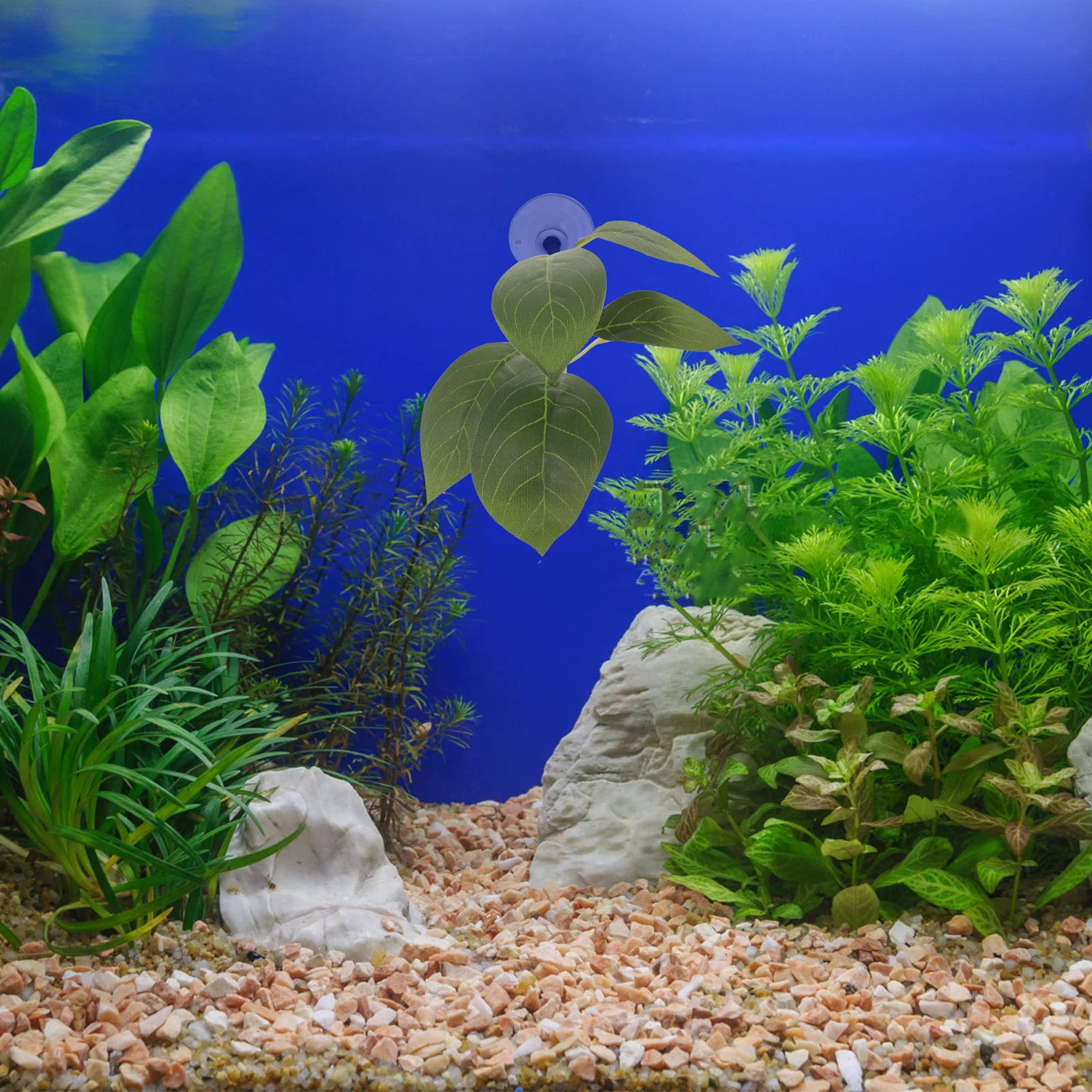 

Betta Fish Spawning Leaf Plastic Aquarium Decoration Suction Cup Resting Hammock Breeding Fish Tank Habitat Decor