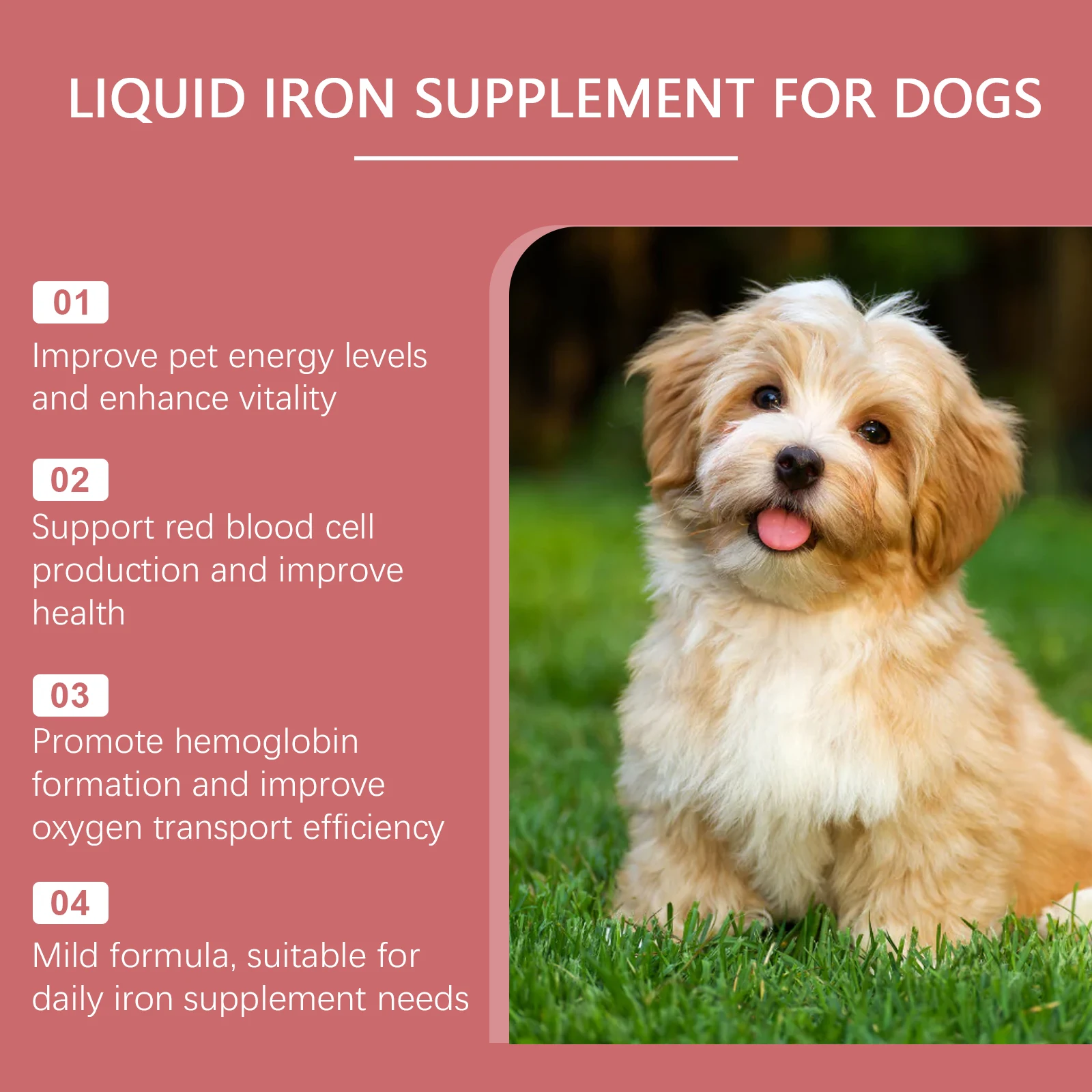 Blood Circulation Improvement Syrup Dogs – Protects Pets Promotes Red Blood Cell Production Aids Absorption Care Supplement
