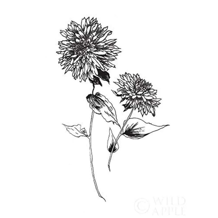 

Posterazzi PDX46979LARGE Sketchbook Flowers on White IV Фотопринт 24 x 36 Multi