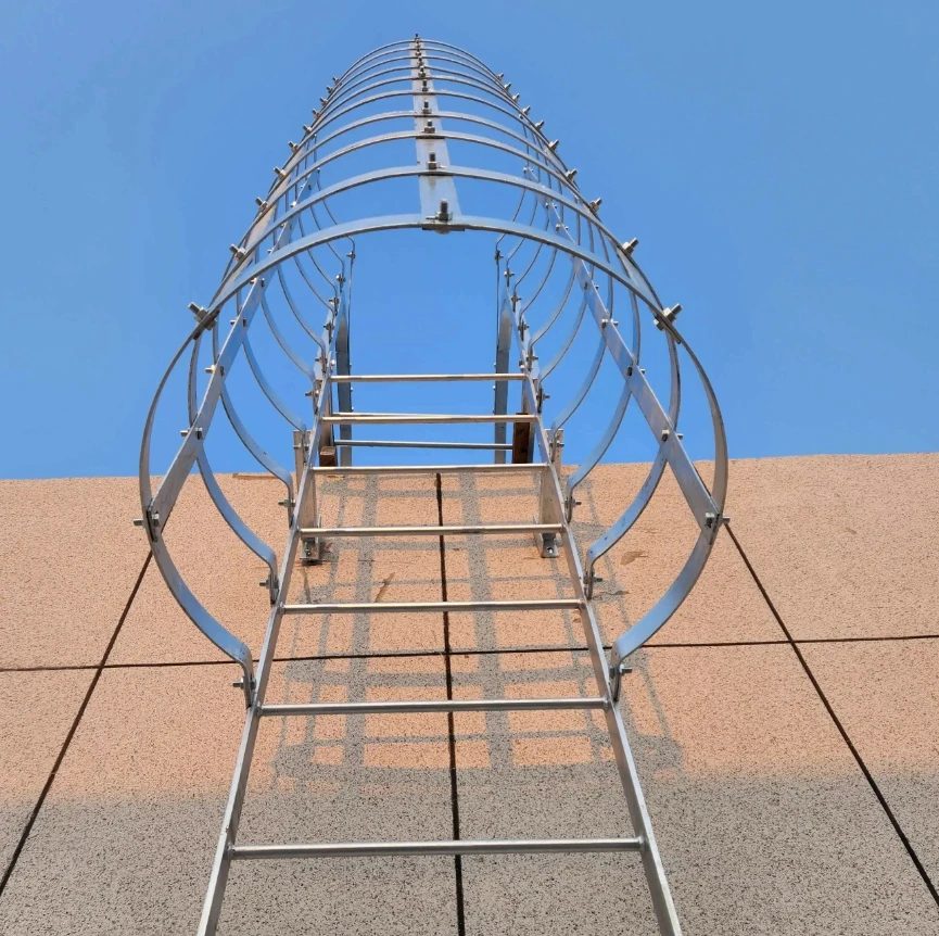 Heavy-Duty Aluminum Alloy Ladder, Outdoor Fixed Access, 150kg Capacity, Climbing Safety, Modern Design