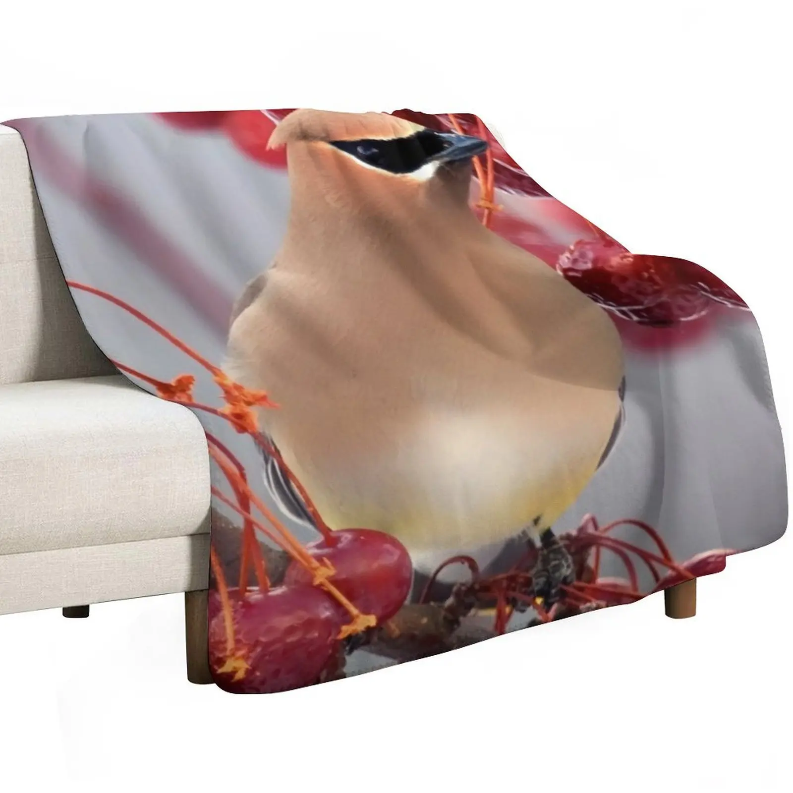 Second Cedar Waxwing Throw Blanket Personalized Gift blankets and throws Large wednesday Weighted Bed Blankets