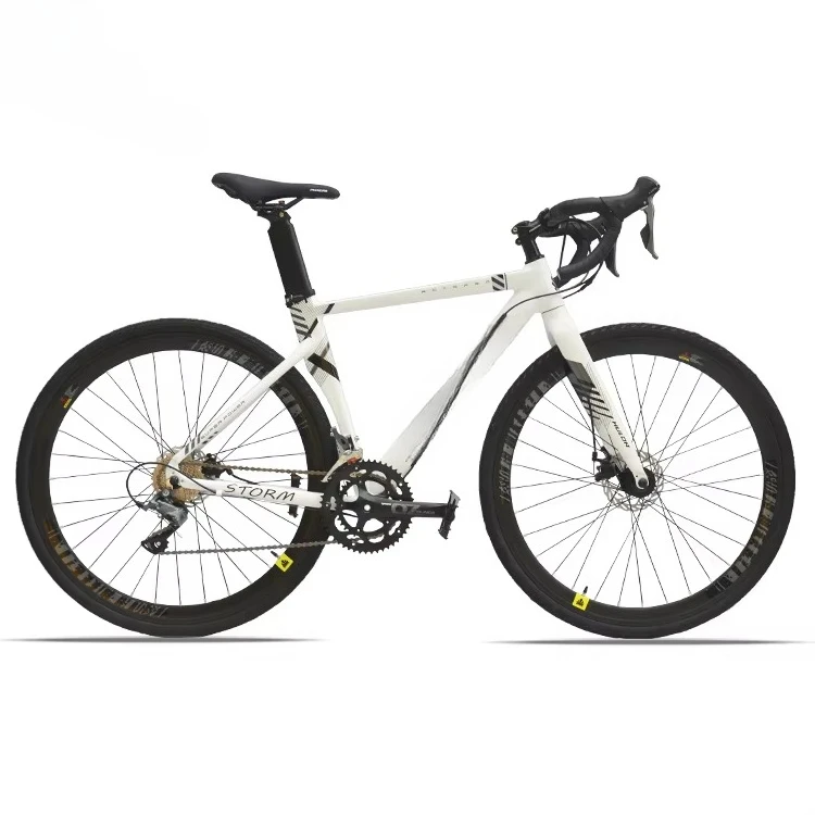 16 Speed Shifting System Lightweight Stiff Frame Adult Competitive Bicycle for Professional Road Bike