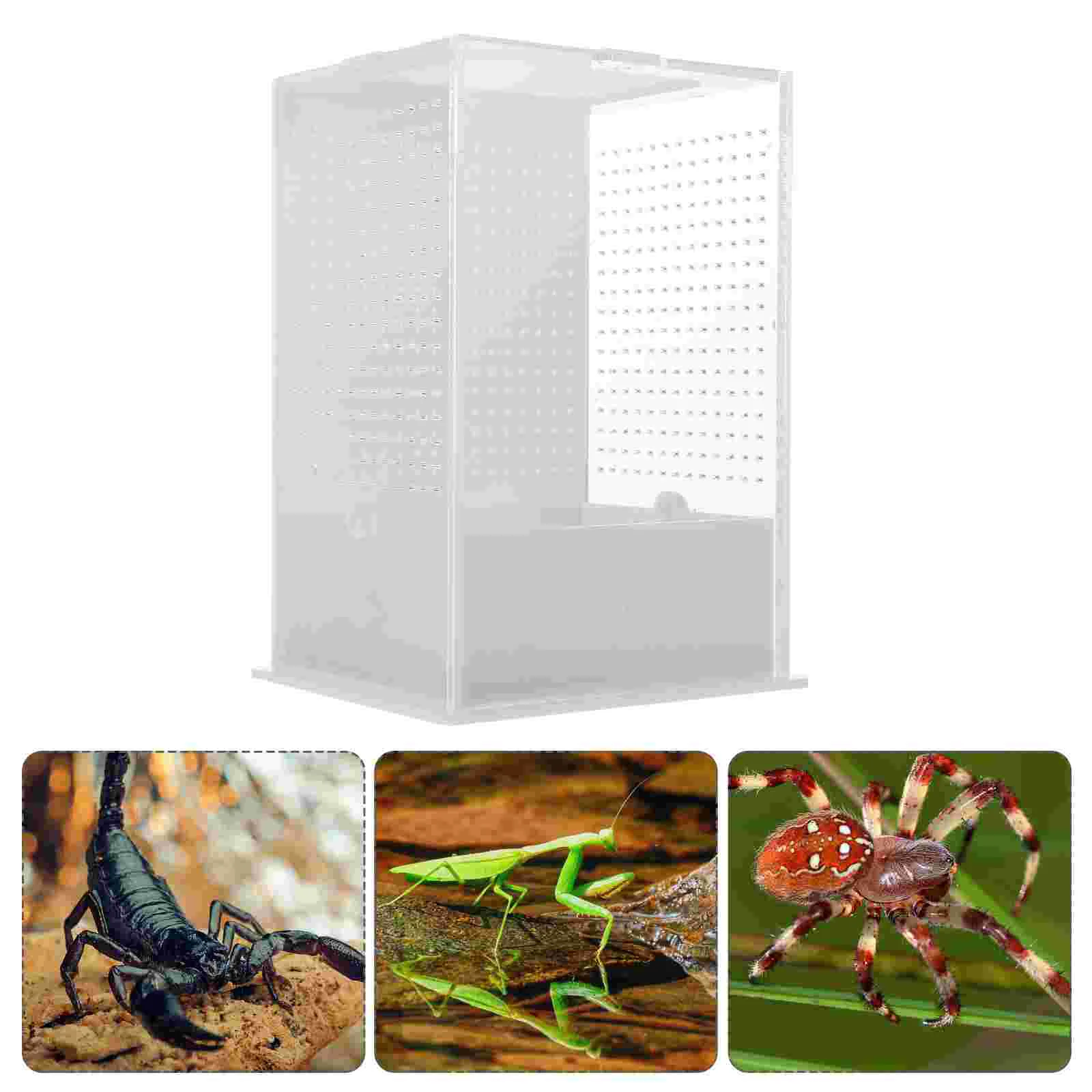 

Jumping Spider Micro Big Habitat Insect Villa Box Animal Goalkeeper Observation Container High Transparent Reptile Cage