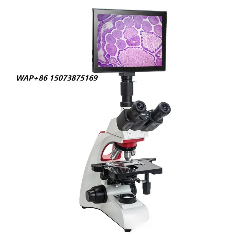 Phenix Trinocular Biological 9.7 Inch LCD Digital Microscope for Hospital Laboratory Clinical