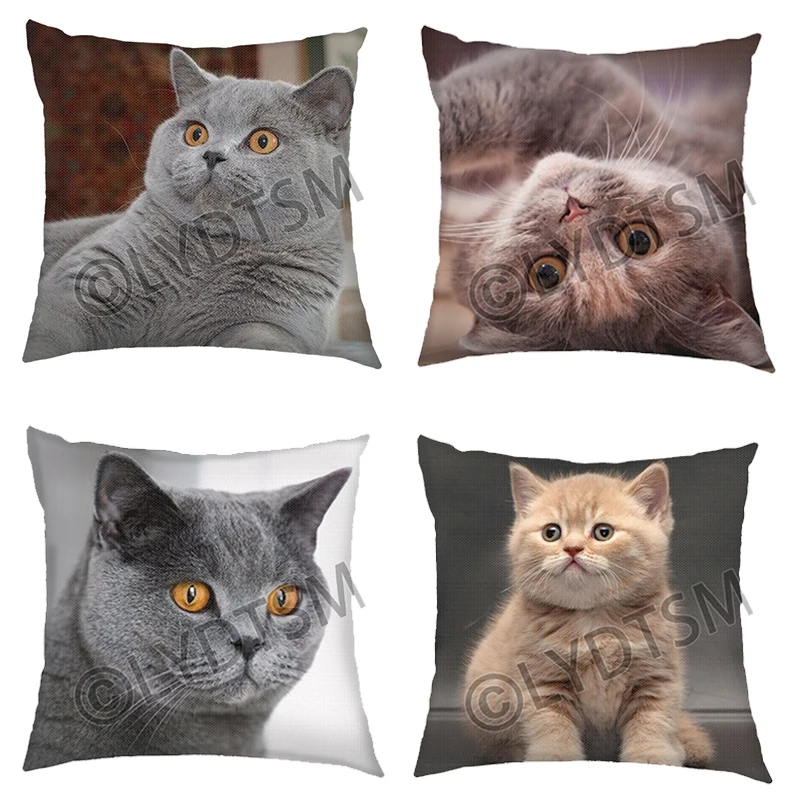 Funda de cojín con estampado azul ruso de pelo corto británico, funda de almohada decorativa para sofá cama y coche con bonito gato y mascota