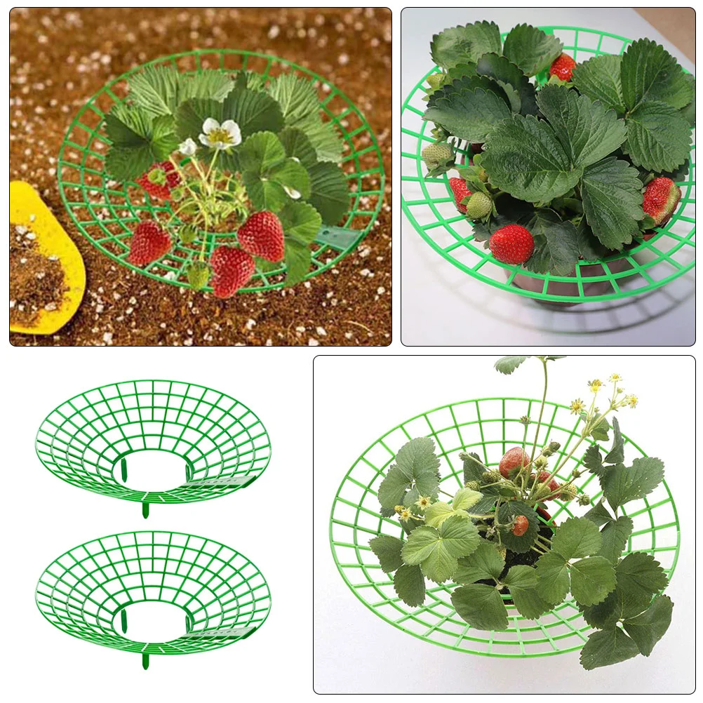 

2 Pcs Fruit Strawberry Stand Plant Frame Bracket Climbing Support Planting Green