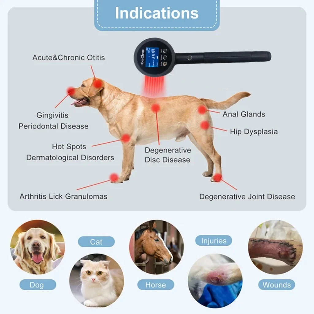 Low-level Laser Therapy for Pain 19x650nm 6x808nm Red Light Tool 1295mW Tissue Repair Tool to Recover Body Sports Injuries