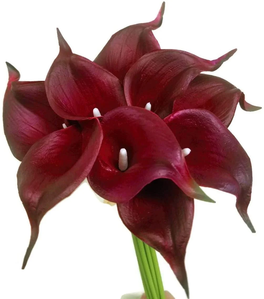 Ramo de lirios de cala de látex de tacto real de 14 pulgadas, flores artificiales de primavera para decoración del hogar, ramos de boda y centros de mesa (paquete de 10)