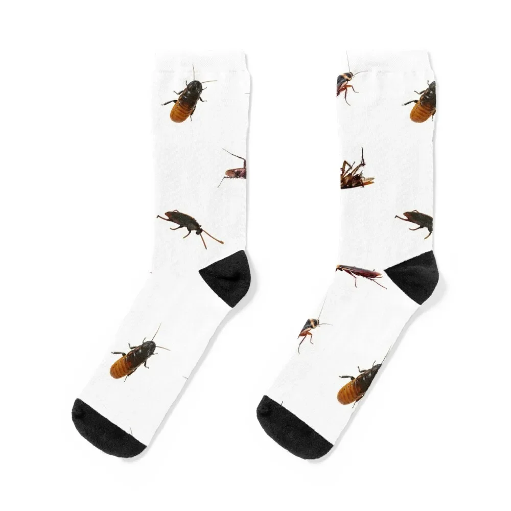 

Cockroach Bundle Socks golf Novelties Boy Socks Women's