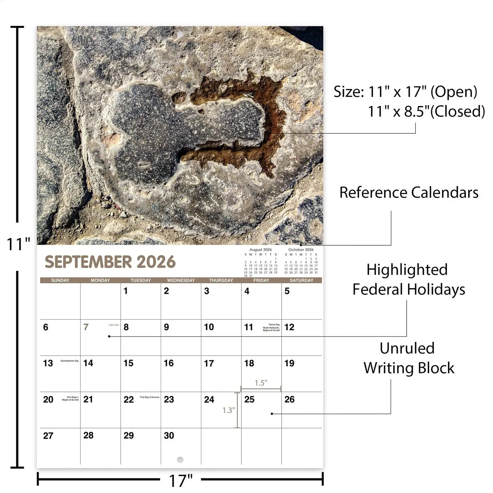Calendario 2026 12 mesi Divertenti illustrazioni di cactus Decorazioni per l'home office Regalo umoristico per visualizzazione visiva Pianificazione della gestione del tempo
