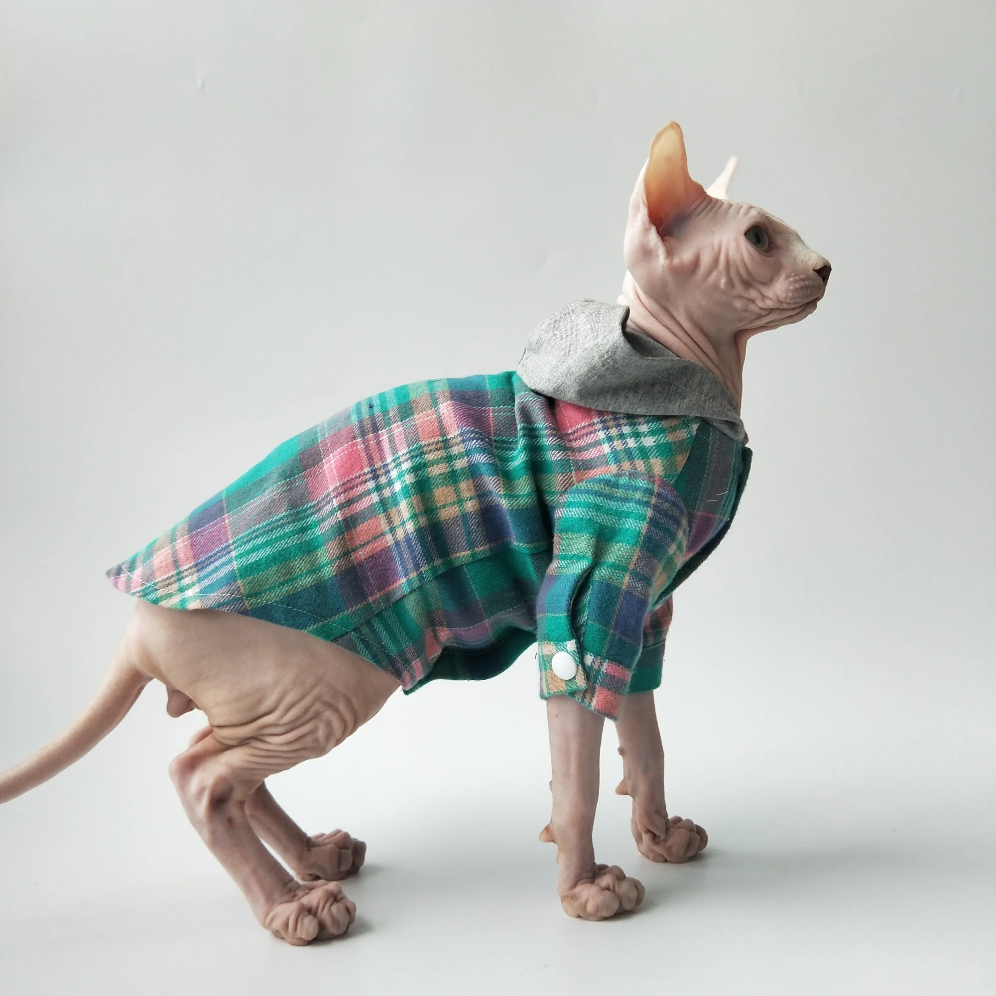 fashion Coat for Hairless Cat in Spring Blue Hooded long-sleeved Plaid Shirt With Buttons Soft Costume for Sphinx Easy to Put on