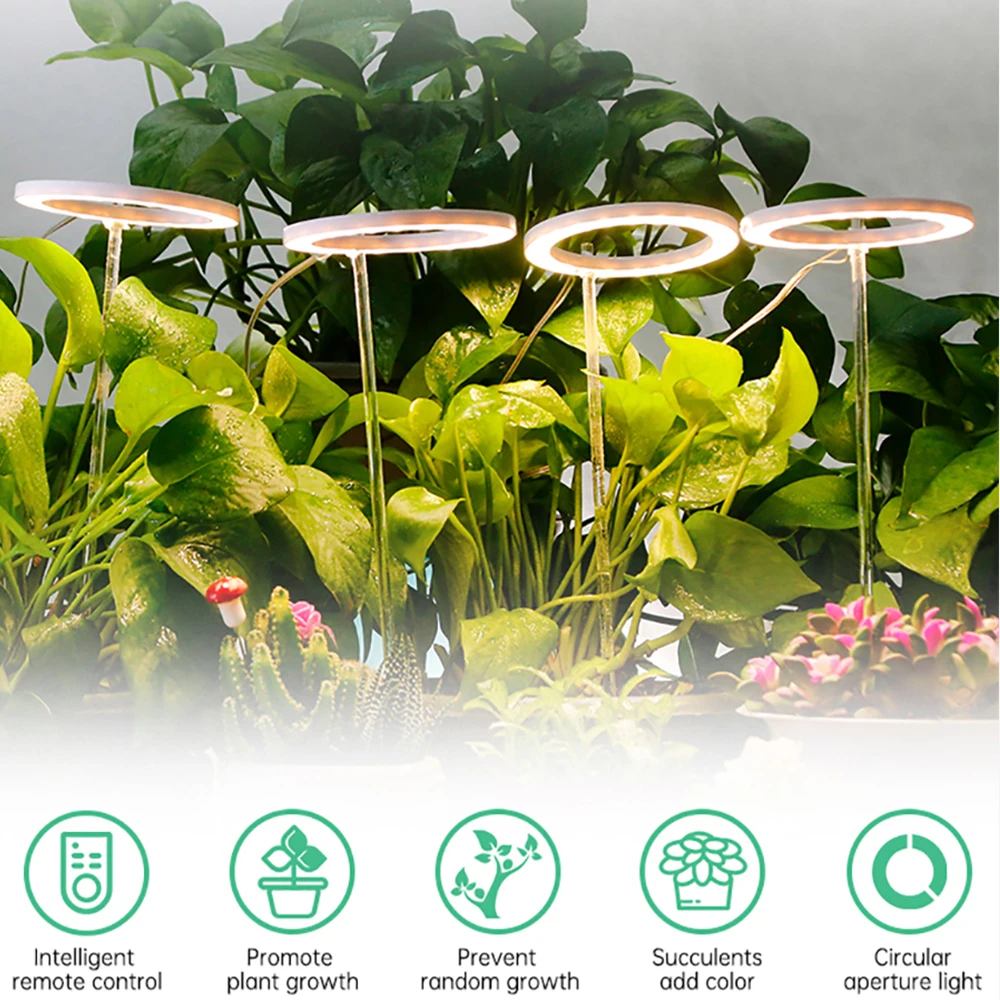 Angel Four Ring Growth Light 5V USB Plant Light LED Full Spectrum Indoor Plant Seedling Household Flower Seedling Light