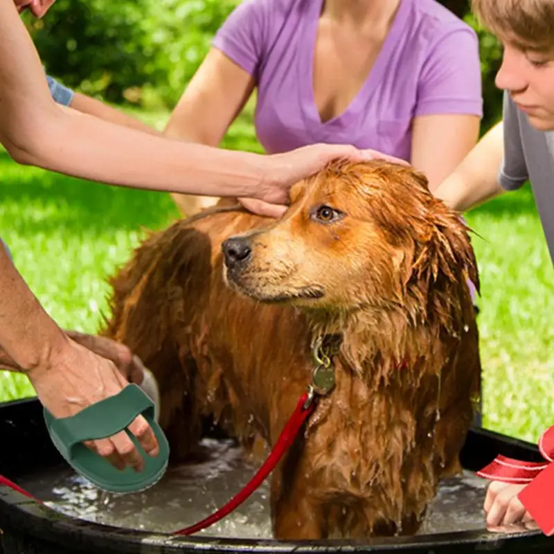 Cepillo de aseo para perros, cepillo de masaje para ducha de mascotas, herramienta de aseo con mango cómodo para viajes, viajes de negocios, dormitorio en casa