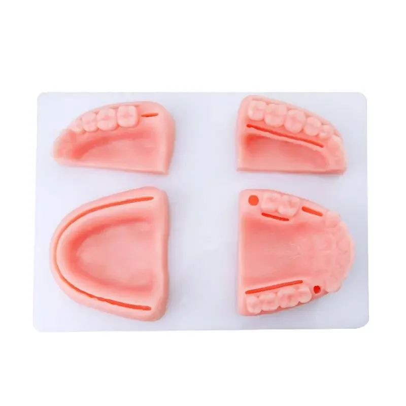 

Simulated Oral Suturing Model, Needle, Thread, Periodontal Suturing Exercise, Medical Teaching And Training Tool Skills Exercise