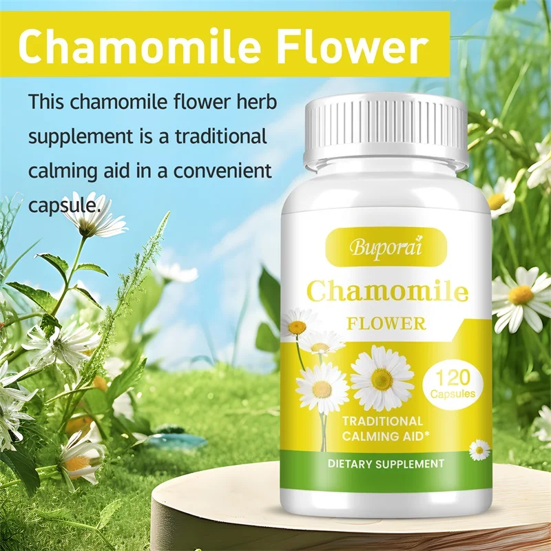 Chamomile Flower - Relieve Anxiety and Stress, Improve Fatigue, Calm Down, Relax, Sleep Support