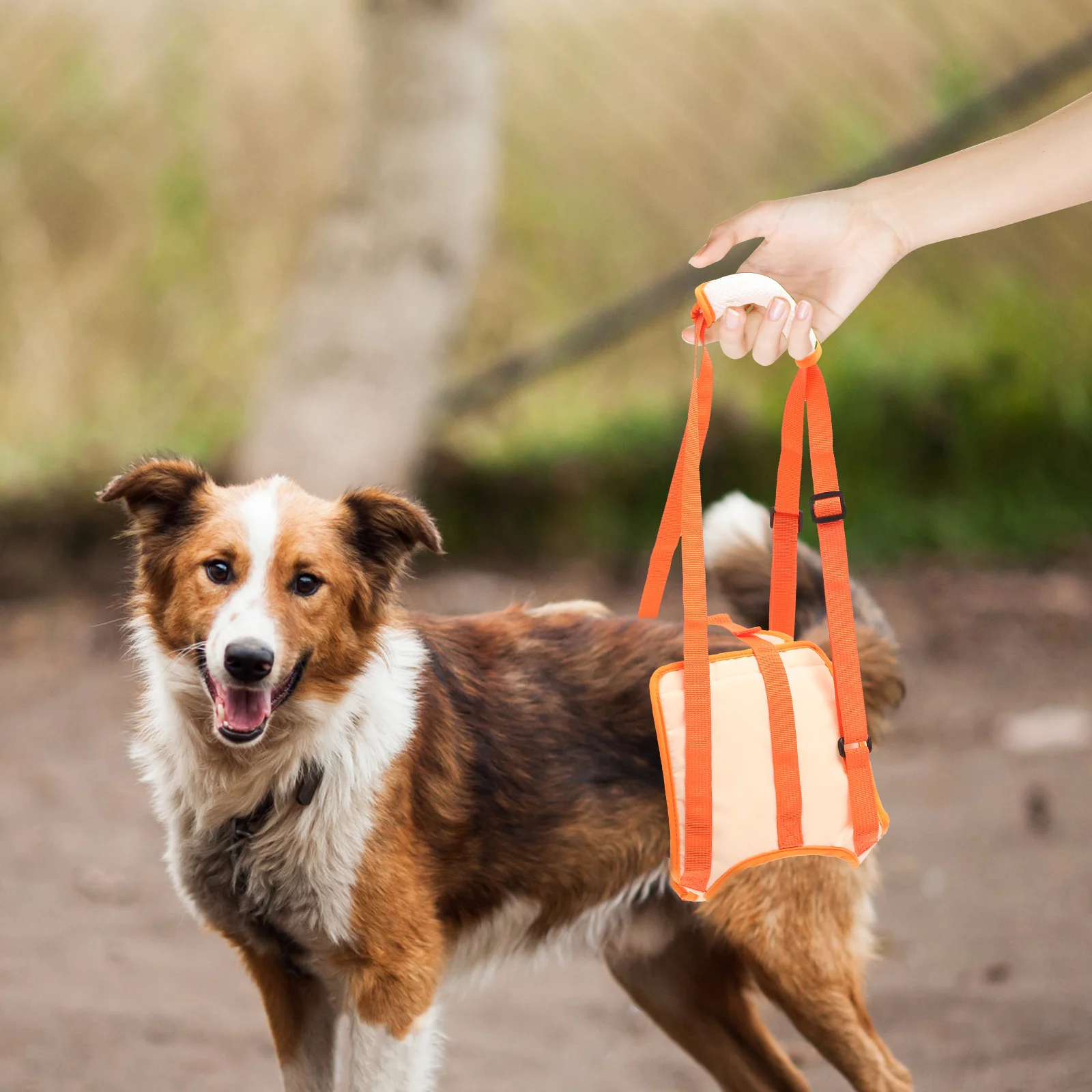 

Pet Auxiliary Belt Dog Lift Support Leg Band Walk The Assisted Mobility Rear Injured Orange Back Injury Strap