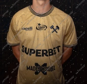 

Домашняя майка Gornik Zabrze 25-26 Мужская дышащая футболка Gornik Zabrze выездная майка Футбольная мужская и женская тренировочная спортивная футболка