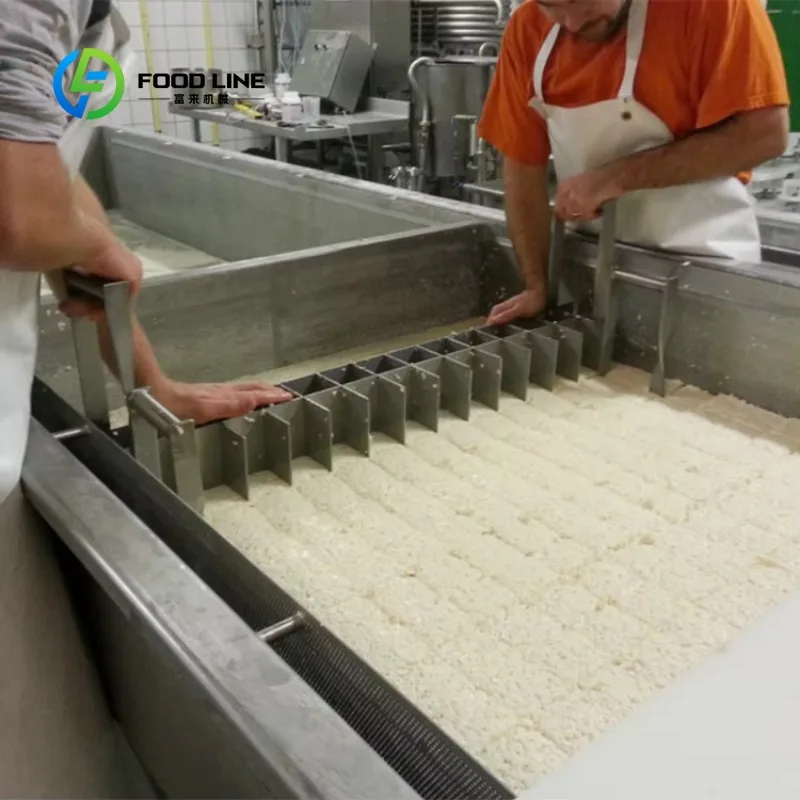 Customized cheese maker mozzarella processing line 100 to 5000L hygienic dairy plant for medium dairy manufacturer