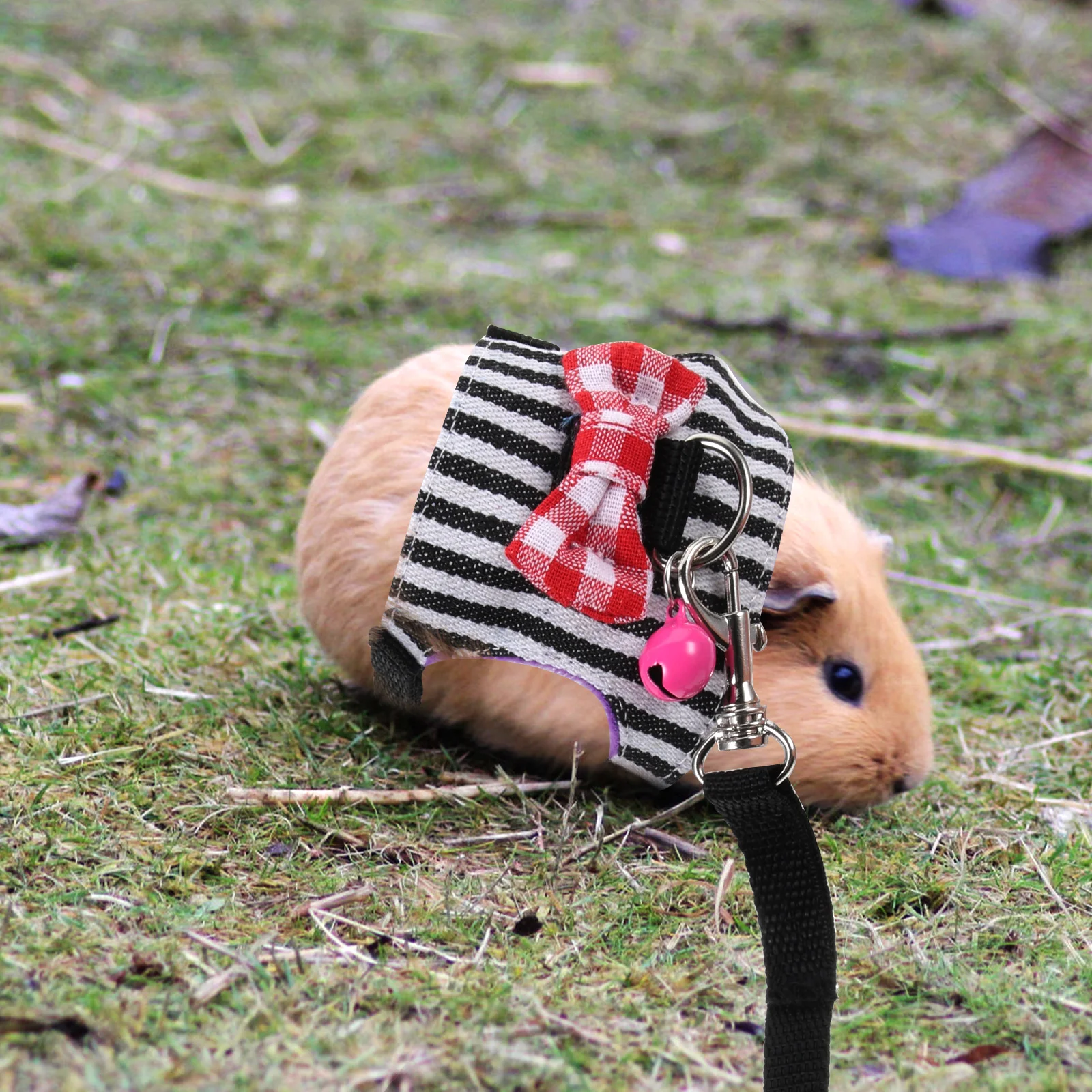 

1 set Denim Small Pet Bunny Clothes Set Skin-Friendly No Fading Fit For Rabbits Hamsters Outdoor Walking Party Photos Portable